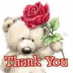 Aviso: ¡Te han multado!