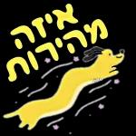 הורדה חינם, עדכונים מדי יום