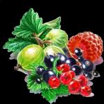 юдрптлрмито