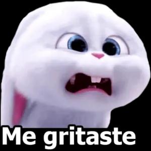 Me gritaste  - getsticker.com