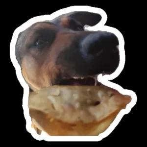 kTnWqM