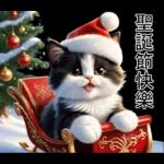 可愛的貓咪聖誕快樂