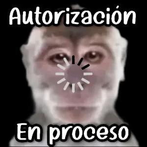 0p399rt