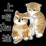 柴柴與貓咪 pack1