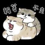 愛撒嬌的奶油小生 (虎斑貓)