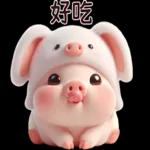 Piggy Rabbit so Cute