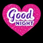 Good night, my love❤️😘💕