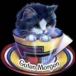guten morgen