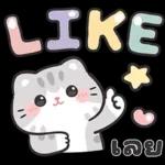 แมวมาร์คัส V.3 : HNY