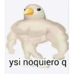 QL6CaZ