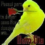 Abraço