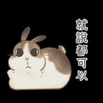 邦妮蓓蓓的日常生活