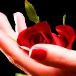 Ich schick dir 1000 Kuddels