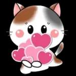 Cats! For reply