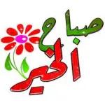 قاعد مستنيك