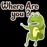 What are you doing now❓