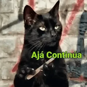 fnxkvI