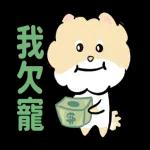 博美狗AB-不正经动起来