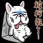 豆卡頻道-茶寶丸萌犬篇