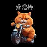 可愛的橘色肥貓!