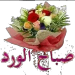 اللهم صل وسلم على سيدنا محمد وعلى آله وأصحابه أجمعين