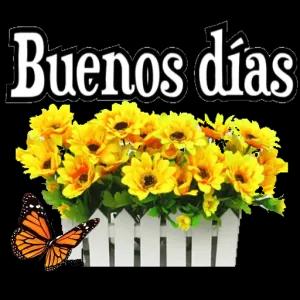 n9SuWb