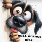BUENOS DIAS BUENOS DIAS