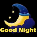 beautiful flowers for you🌷