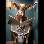 www MOIN! GIBT'S WAS NEUES? SAY