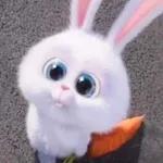Snowball