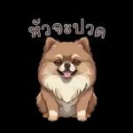 ห่วงยาม