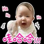 今日熱門貼紙已更新。