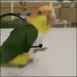 Jesus María y José y su burro