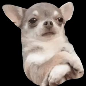 wNKx0u