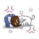 เด็กและแมว