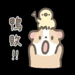 天竺鼠布丁～～超可愛鴨