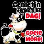 Goeie
More