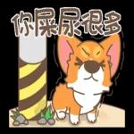 柯基犬椪椪懂吃懂吃！