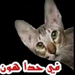 حساب