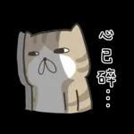 白爛貓系列：一只灰猫