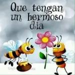 Feliz día