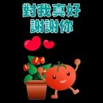 大貼圖 可愛蕃茄 實用語貼