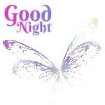 Good Night
