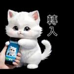 白色的貓尤其可愛
