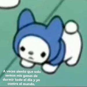 OgNdoo