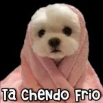 Ta chendo frío