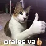 VA QUE VA