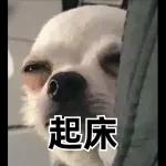 讚！