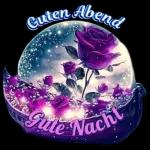 01.15Gute Nacht
