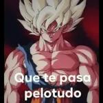 goku 122
